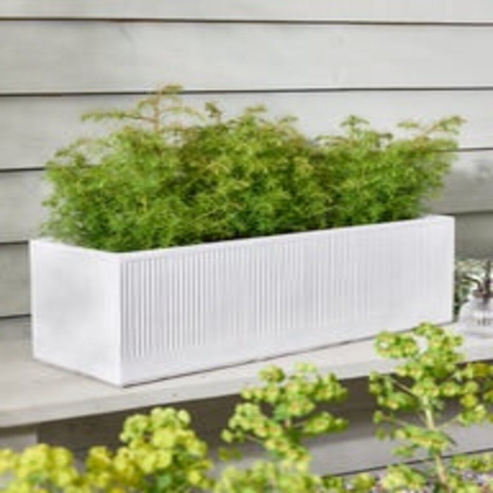 image 1 of Mela Wide White Planter White
