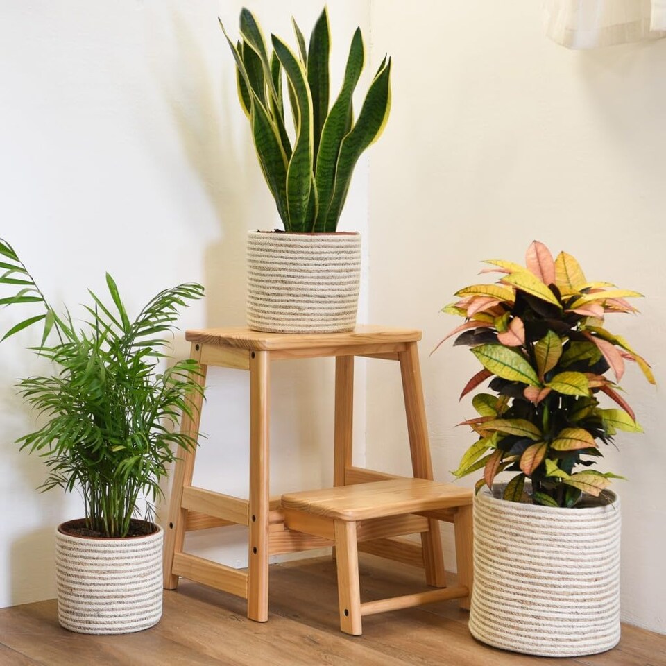 image 1 of Indoor Planter Basket Natural Navy Seagrass Set of Three 25cm, 20cm & 17cm Diameter Garden Gear | Cream