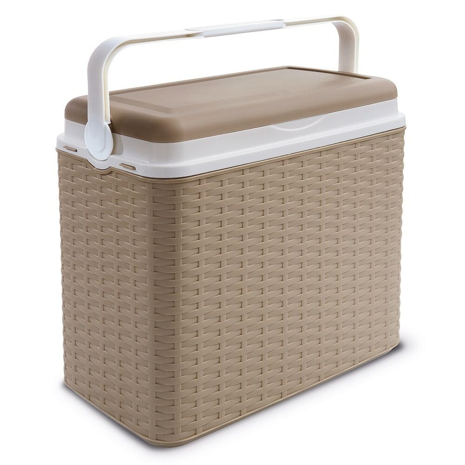 image 1 of 24L Rattan Design Cooler Storage Boxes | Cream | 1