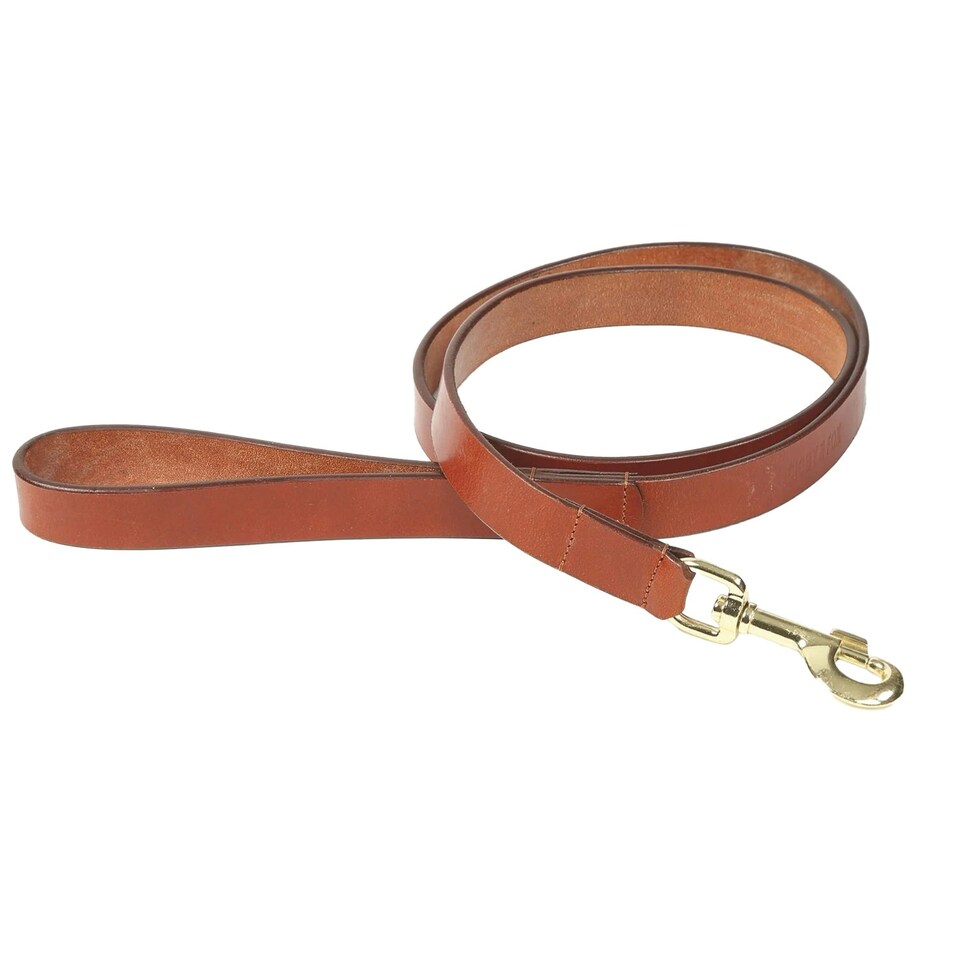 image 1 of Digby & Fox Flat Leather Dog Lead - Tan - M