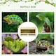 image 2 of PawHut 60cm Reptile Terrarium Vivarium w/ Glass Sliding Doors, Breathable Mesh