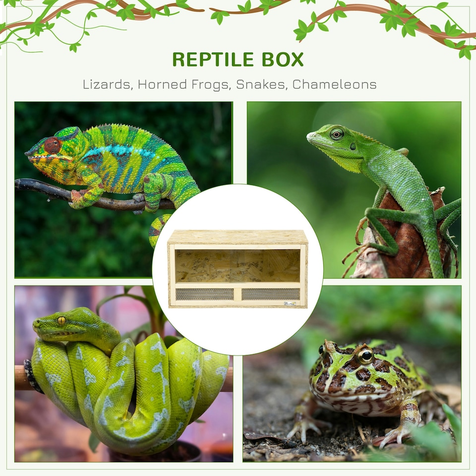 image 1 of PawHut 60cm Reptile Terrarium Vivarium w/ Glass Sliding Doors, Breathable Mesh