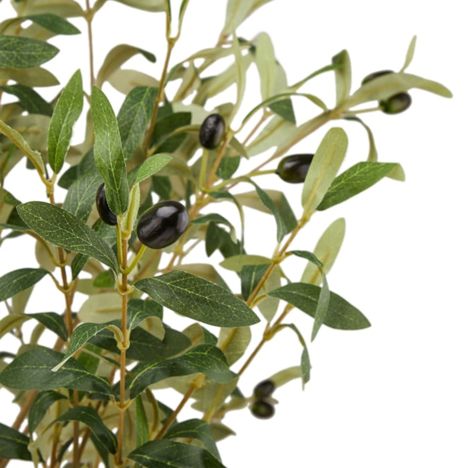image 1 of Calabria Large Olive Tree - Plastic - L17 x W17 x H180 cm - Green