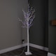 image 2 of 1.8m (6ft) Outdoor Christmas Light Up White Birch Tree with 80 Multicoloured LEDs