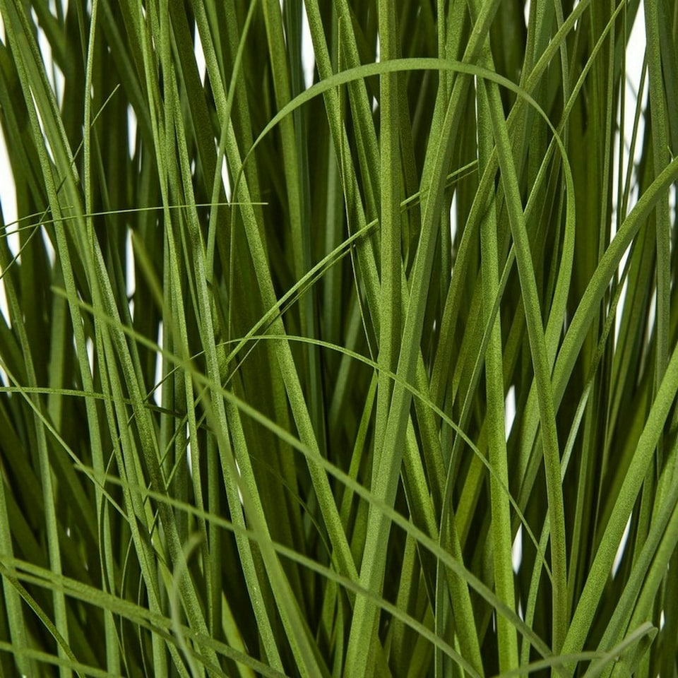 image 1 of Large Allium Plant in Pot - Plastic - L22 x W22 x H120 cm - White