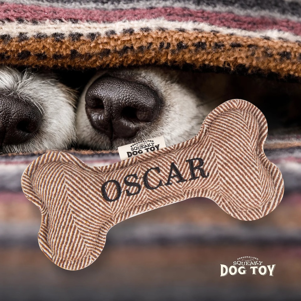 image 1 of History & Heraldry Pre-Personalised Squeaky Bone Dog Toy - Oscar