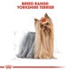 image 8 of Royal Canin Yorkshire Terrier - 1.5KG