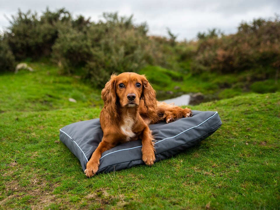 image 1 of Henry Wag Brecon Adventure Bed, Waterproof Pillow Bed, Size X-Large | Grey | Grey | XL | 1