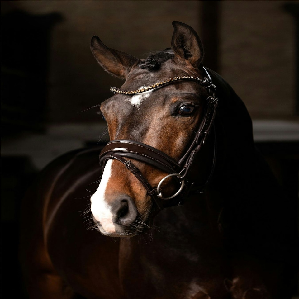 image 1 of LeMieux Kudos Patent Dressage Bridle Brown | X-Full