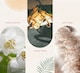 image 3 of Fragrance Reed Diffuser - Relaxing Serenity - 70ml