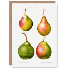 Pierre-Joseph Redouté Art Card Pear Fruit Vintage Illustration