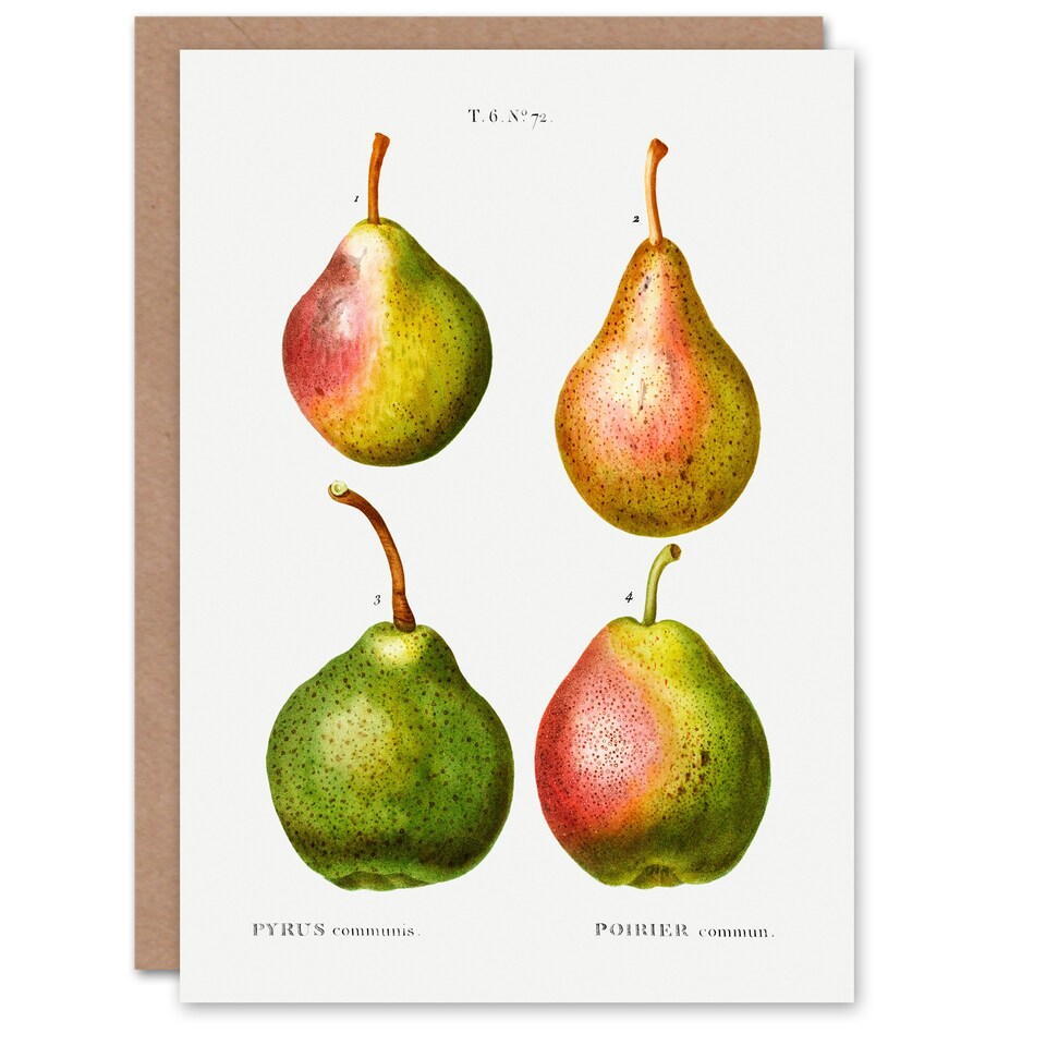 image 1 of Pierre-Joseph Redouté Art Card Pear Fruit Vintage Illustration