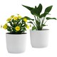 image 6 of Outsunny Set of 2 Round Plant Pots Outdoor 22cm for Garden, White White | White