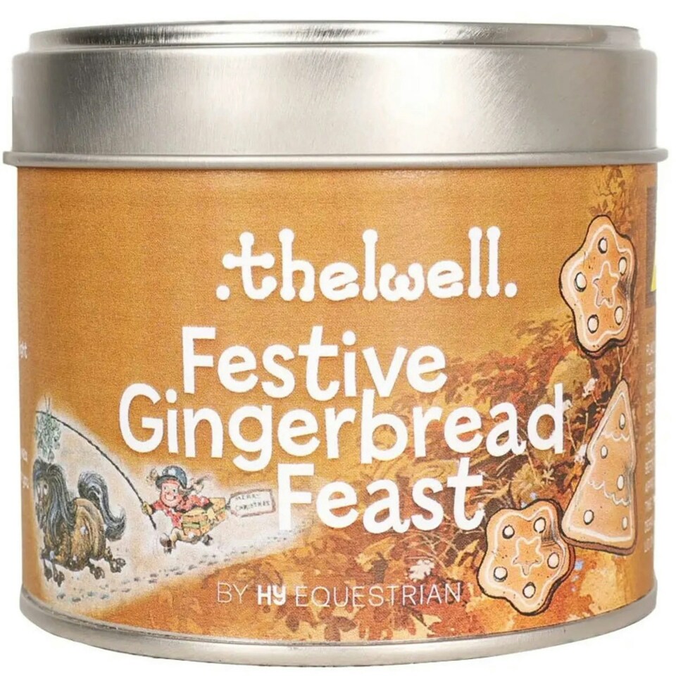 image 1 of Hy Thelwell Collection Festive Gingerbread Feast Candle - Brown - One Size Brown | One Size
