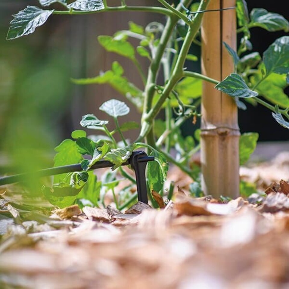 image 1 of Hozelock Automatic Watering Asta End-of-Line Dripper Spikes