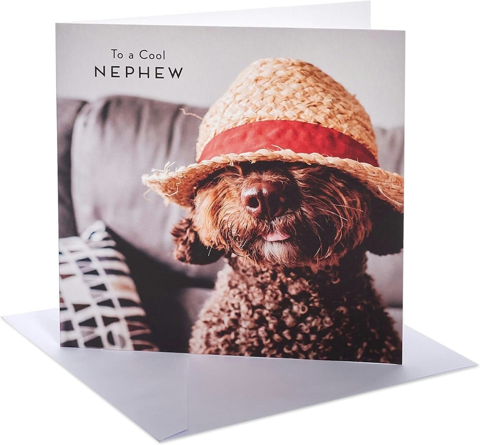 image 1 of Dog & Hat Design Nephew Birthday Card