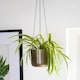 image 4 of Kew Hanging Large Planter with Hook - Metal - L17 x W17 x H15.5 cm - Matt Brass Copper