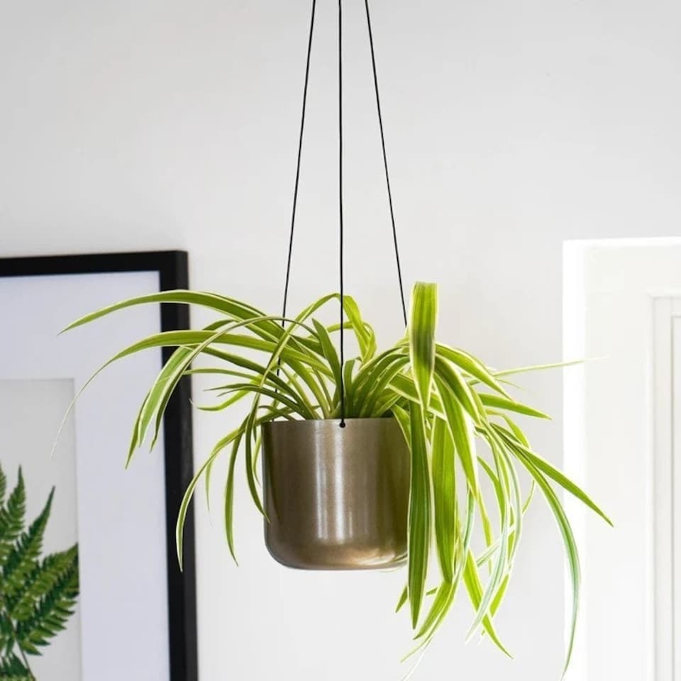 image 1 of Kew Hanging Large Planter with Hook - Metal - L17 x W17 x H15.5 cm - Matt Brass Copper