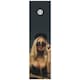 image 1 of CORE Skateboard Griptape 9x33" - Hot Girl