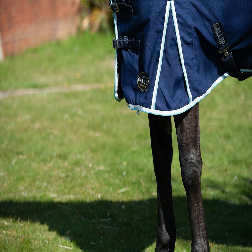 image 1 of Gallop Equestrian Summer Sheet Pink | Size: 6ft 0
Colour: Burgundy