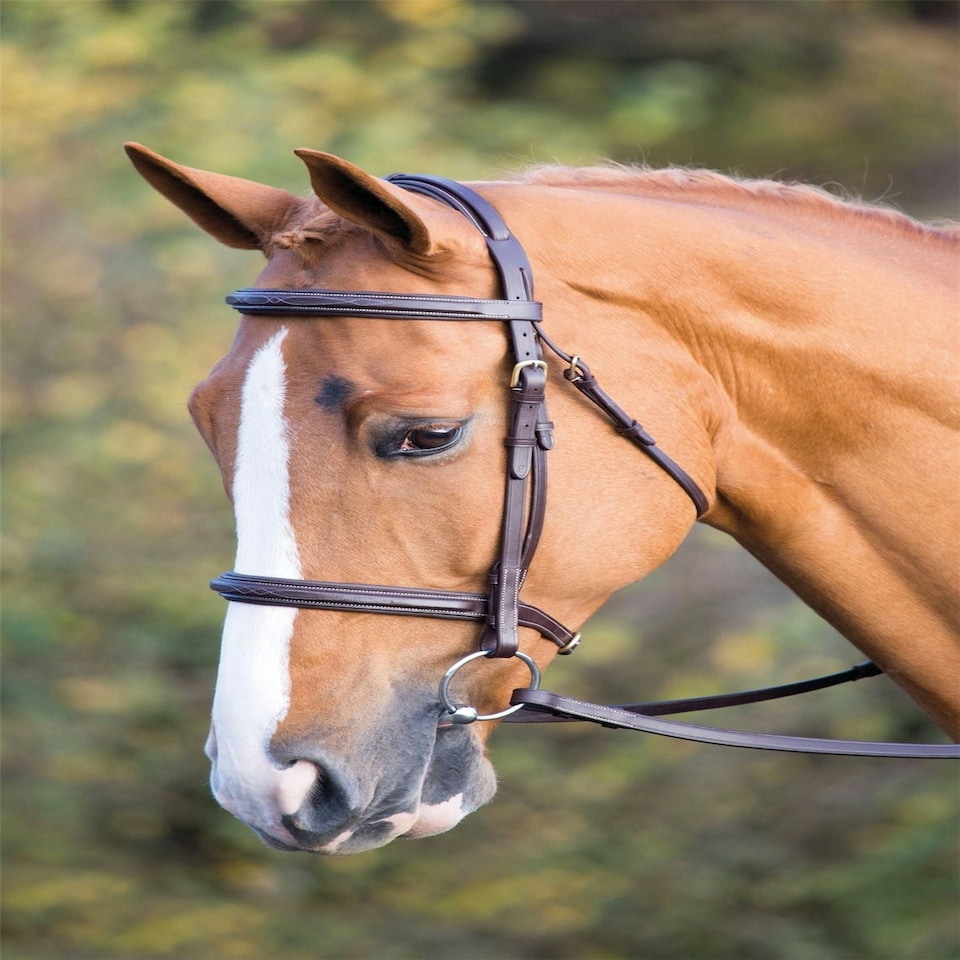 image 1 of Shires Salisbury Fairford Bridle Black | Size: Cob
Colour: Black