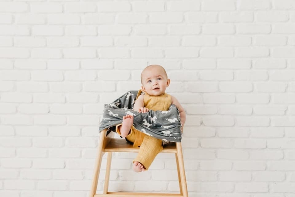 image 1 of Copper Pearl Nursing & Car Seat Cover Colt