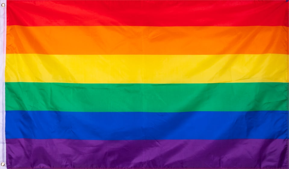 image 1 of Rainbow Pride Flag Inc. Holes 150x90cm