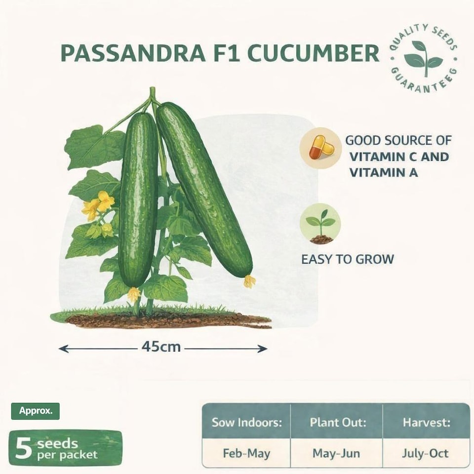 image 1 of Fothergills Premium Cucumber Seeds - Passandra F1