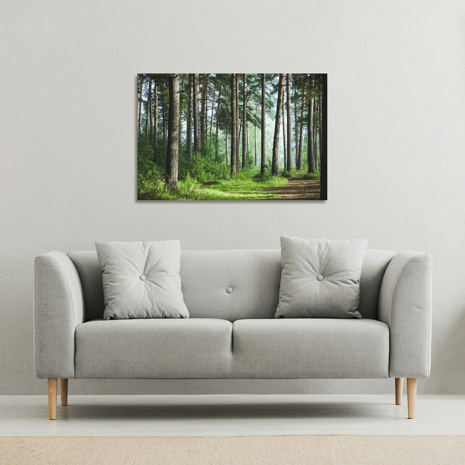 image 1 of Beautiful summer forest with different trees (Canvas Print) 152 x 101 x 4cm