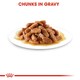 image 7 of ROYAL CANIN® Kitten Wet Food N/A | Texture: Jelly
Size: 12 x 85g