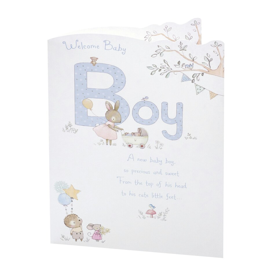 image 1 of Boy Birth Congratulations Card - Cute Animals