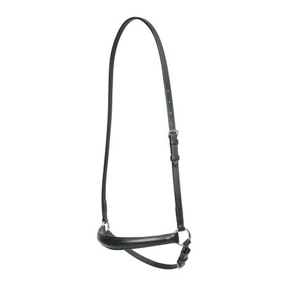 image 1 of Hy Padded Drop Nose Band - Black - Cob