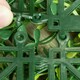 image 2 of Primrose Light Buxus Artificial Garden Patio Hedge Panels 50cm x 50cm