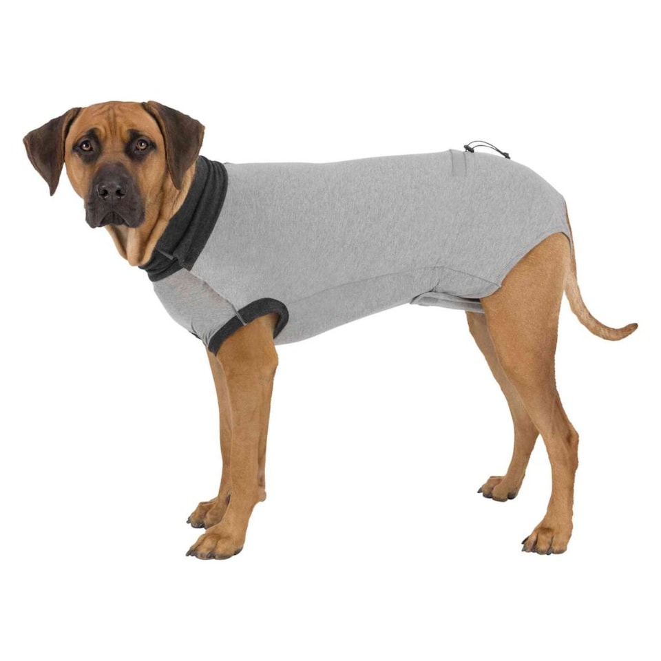 image 1 of Trixie Protective Body Dog Medical Recovery Suit - M-L