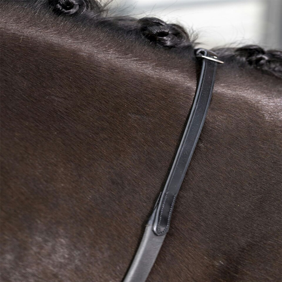 image 1 of LeMieux Kris Extreme Rubber Reins Black | Pony