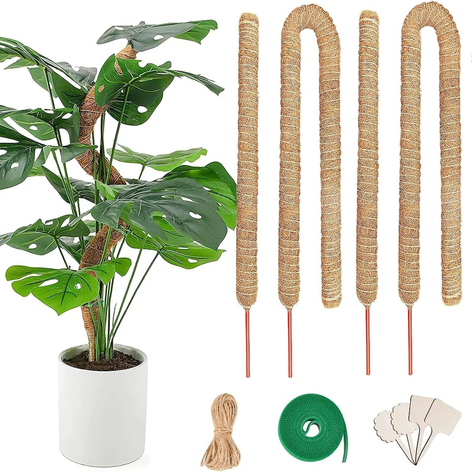 image 1 of 4 Pack Monstera Climbing Support, 2 Pack 60cm & 2 Pack 120cm Planting Stick Coconut Plant Support