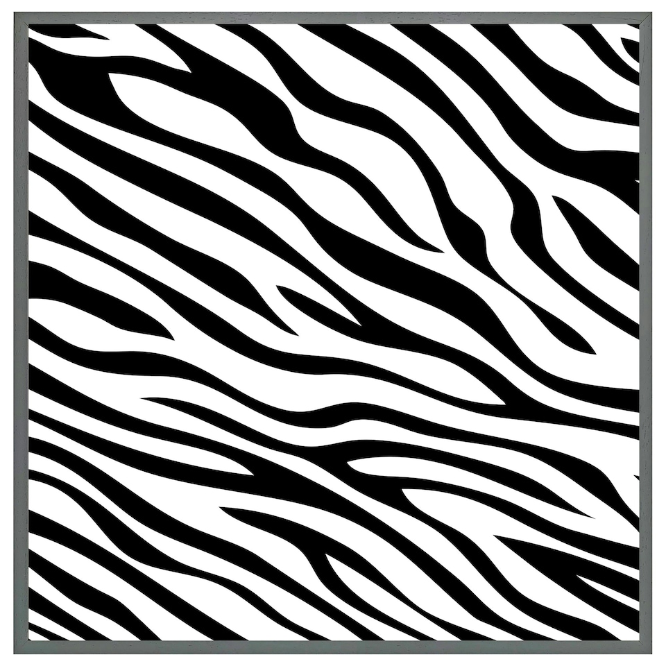 image 1 of Zebra print (Picture Frame) Grey | XL