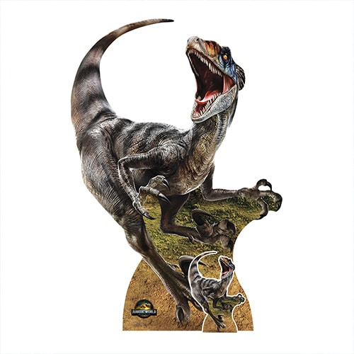 Décoration Jurassic World - Velociraptor Charlie Grandeur Nature (Carton) + Mini Inclus