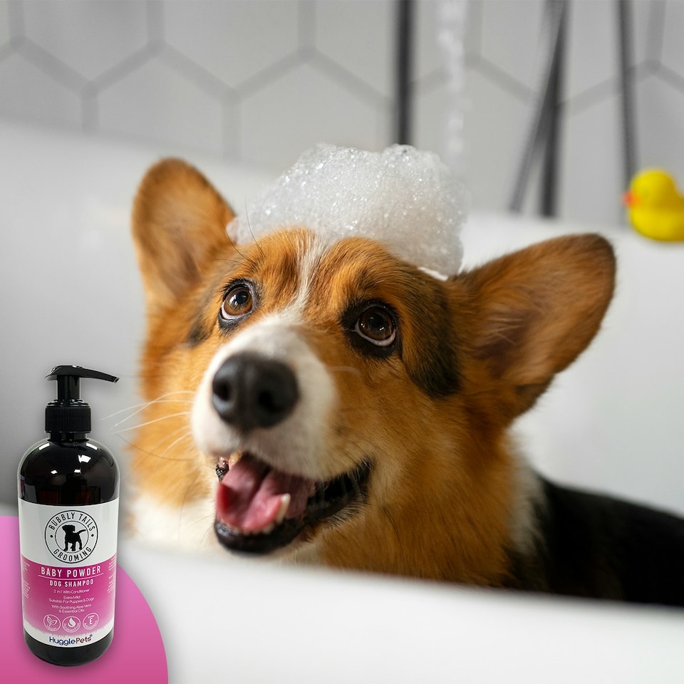 image 1 of HugglePets Bubbly Tails Dog Shampoo - Baby Powder