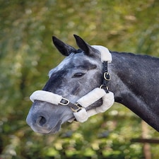Shires Performance Supafleece Halter Fleeces Black | Size: 6Pc
Colour: Black