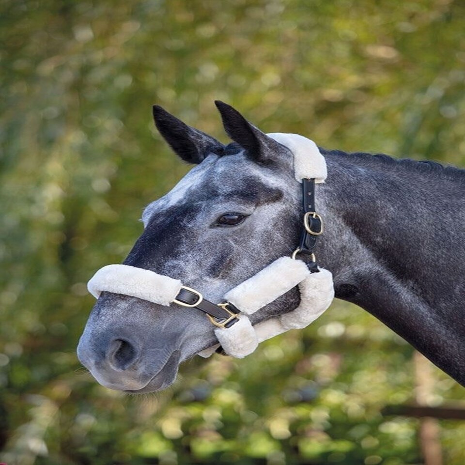 image 1 of Shires Performance Supafleece Halter Fleeces Black | Size: 6Pc
Colour: Black