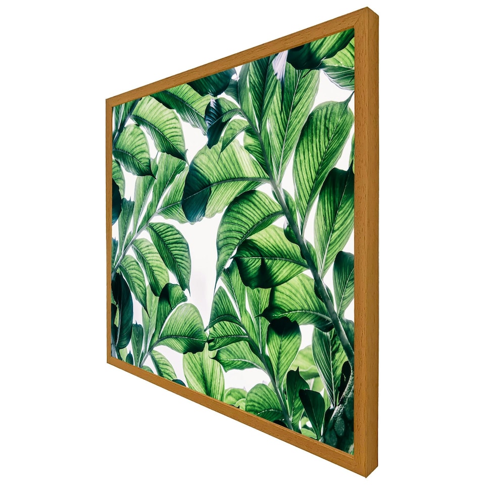 image 1 of Tropical palm (Picutre Frame) Brown | Oak | XS