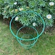 image 6 of Conical Metal Garden Herbaceous Plant Support Rings (48cm) - Pack of 5