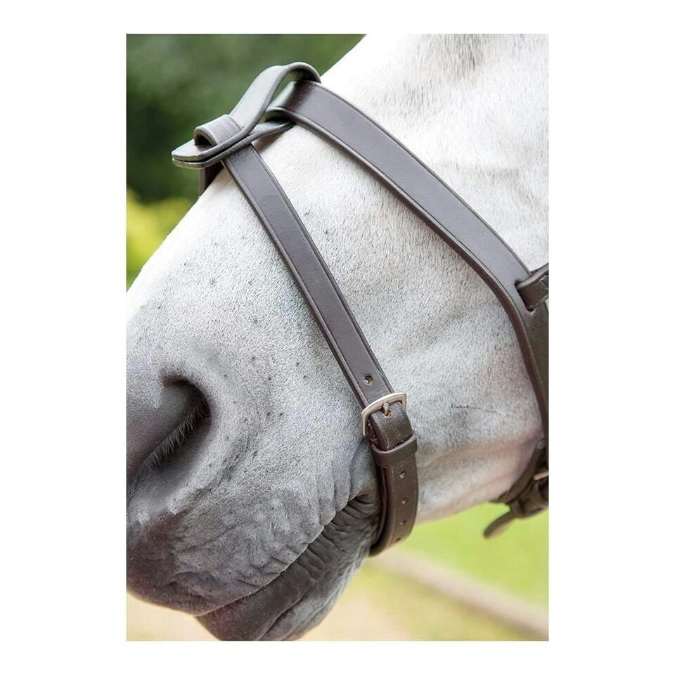 image 1 of Shires Blenheim Flash Strap Brown | Size: Pony
Colour: H.Brown