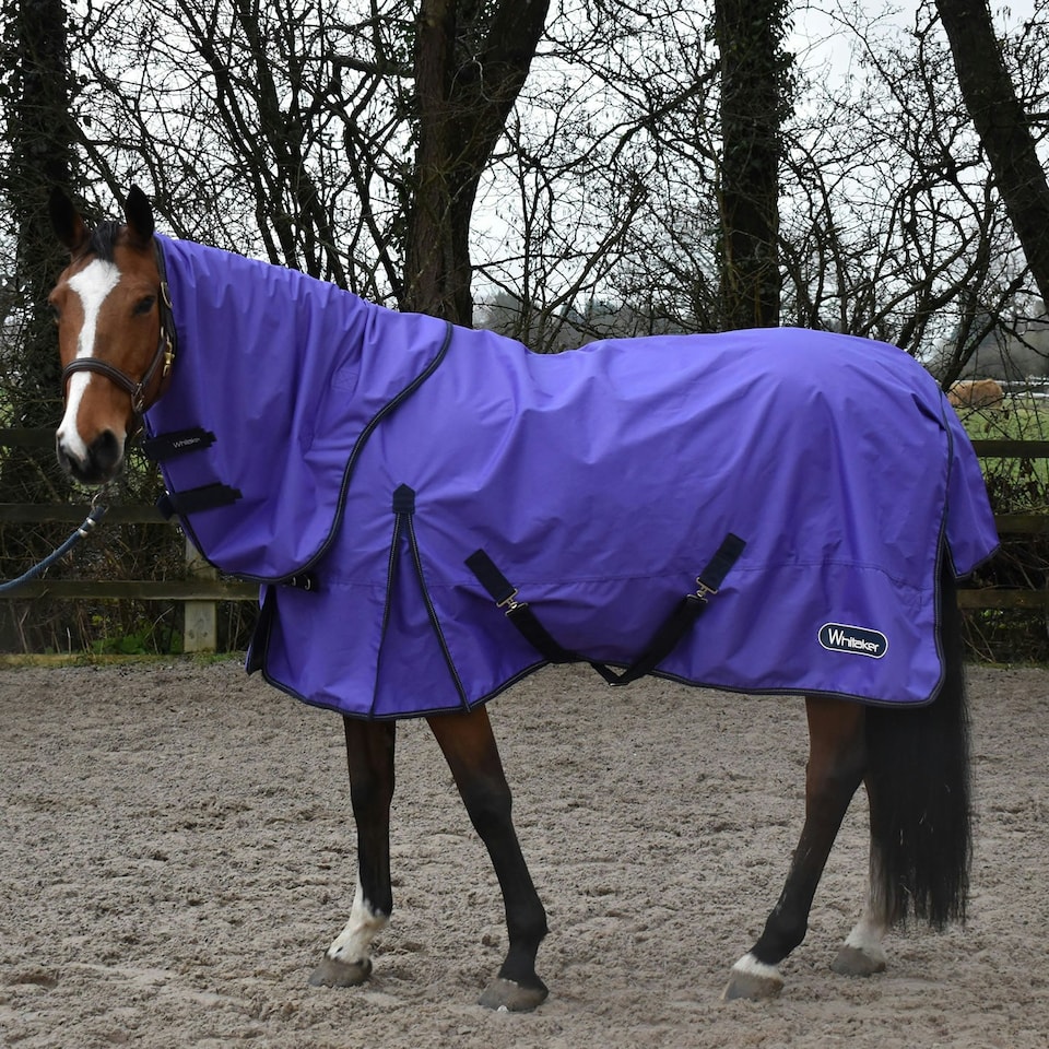Whitaker Rastrick Combo Neck Horse Turnout Rug - Purple - 7´