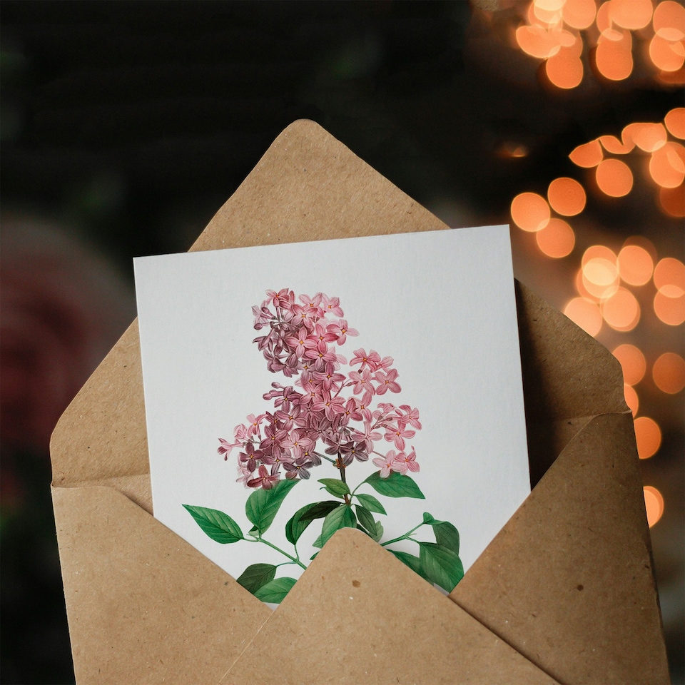 image 1 of Pierre-Joseph Redouté Art Card Chinese Lilac Vintage Floral