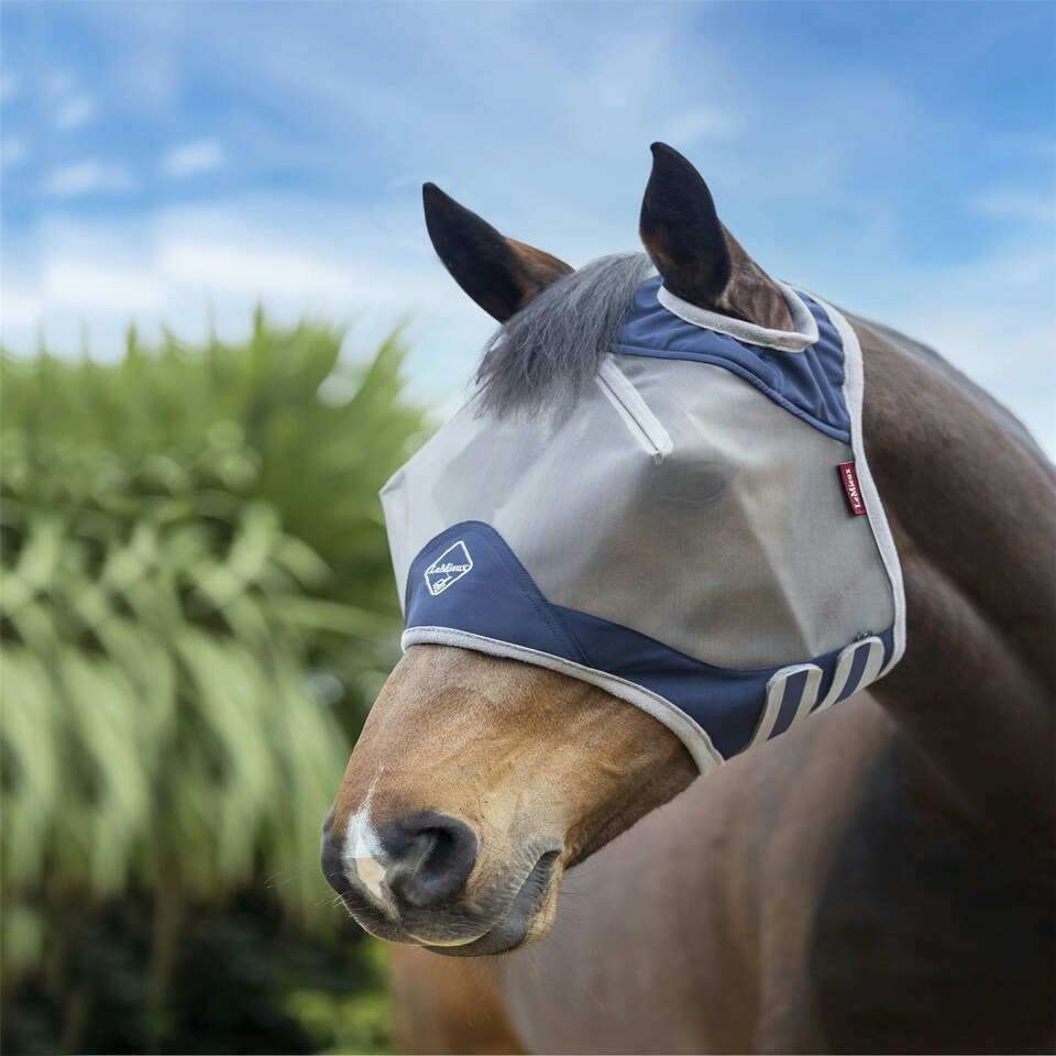 image 1 of LeMieux ArmourShield Pro Standard Fly Mask Blue | Small
