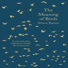 The Meaning Of Birds