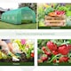 image 6 of Outsunny 6 x 3M Walk in Polytunnel Greenhouse Large Outdoor Grow House w/ Door