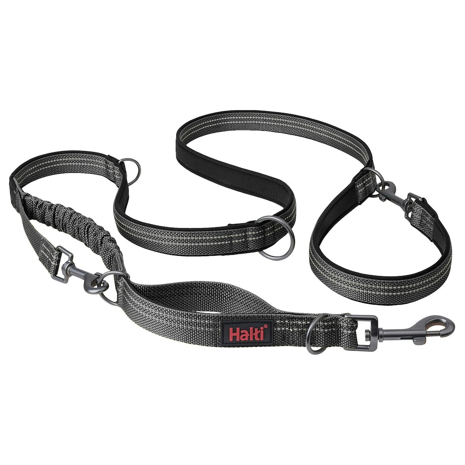 Halti Anatomy Dog Lead - Grey - S